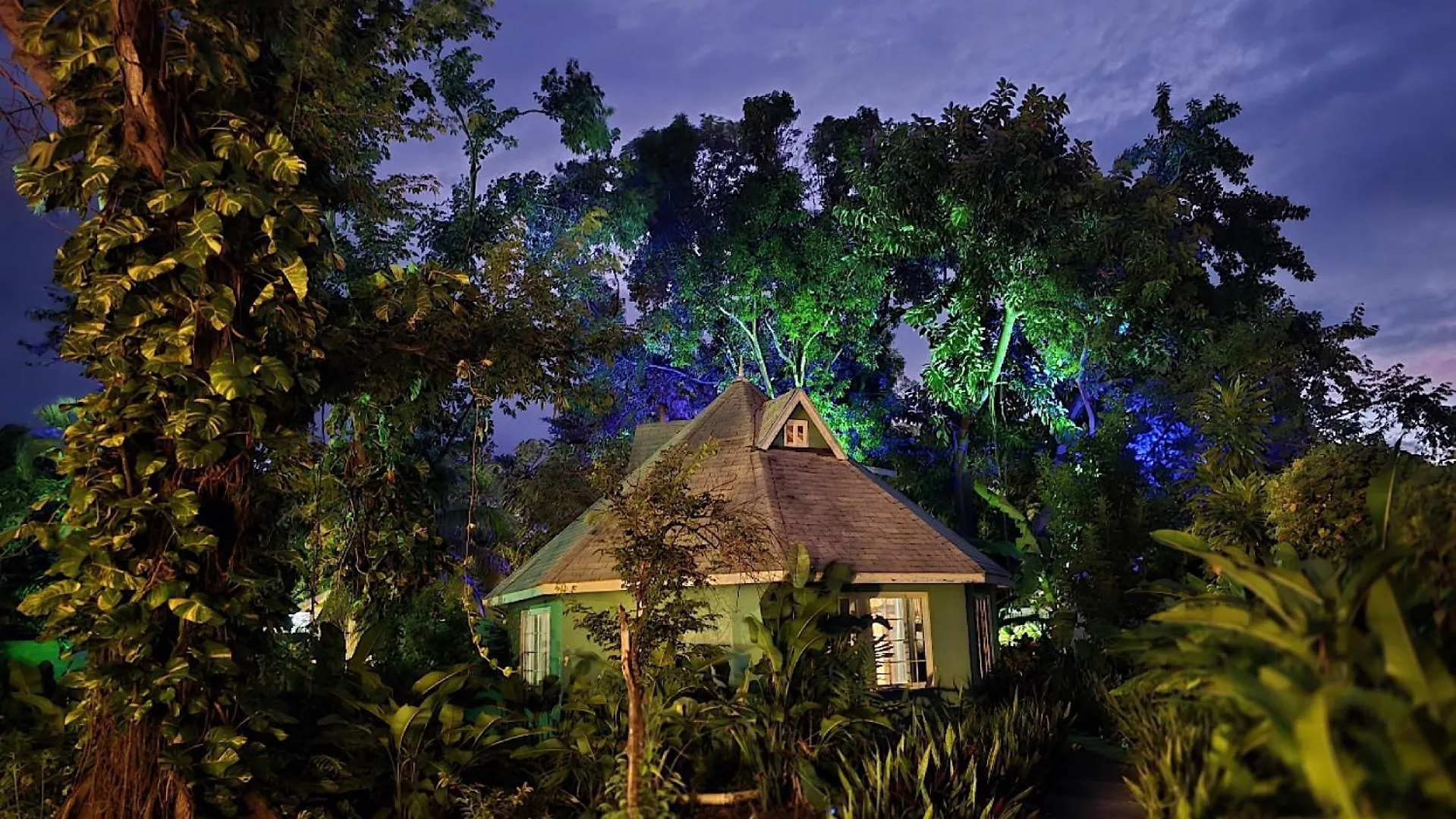 Bak A Yaad Villa Negril