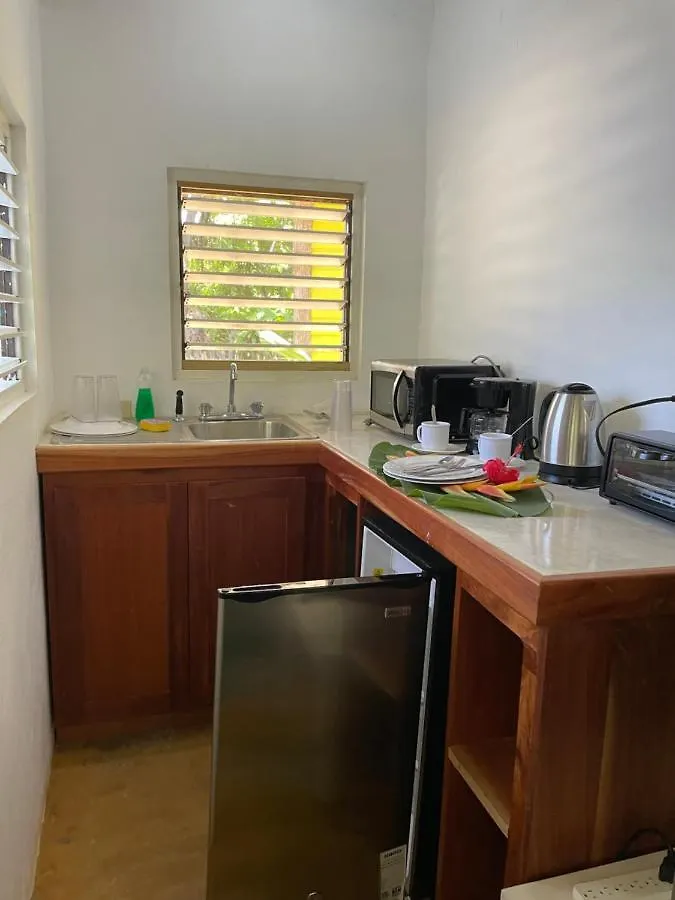 Bak A Yaad Vila Negril Alojamento de Turismo Selvagem
