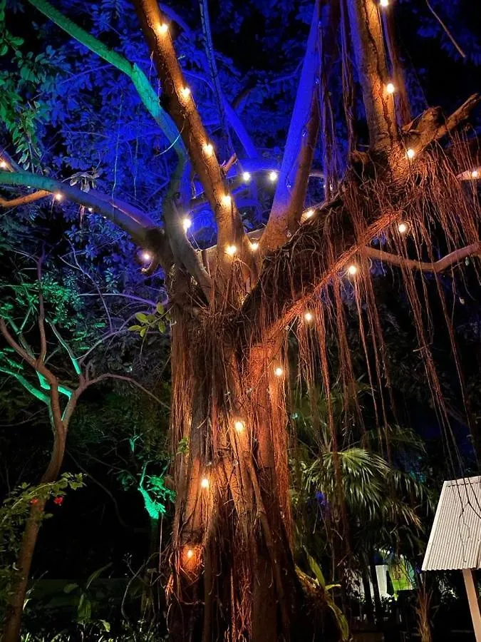 Lodge Villa Bak A Yaad Negril